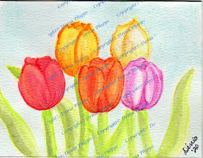 Five Tulips<br>© Denia Phipps